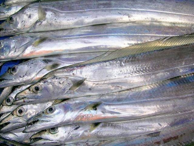 中秋家宴，把这5种海鱼端上餐桌，营养高价格低，待客也倍有面子