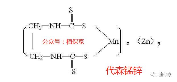 代森联、代森锌、代森锰锌千万别乱用！差别真的太大了11