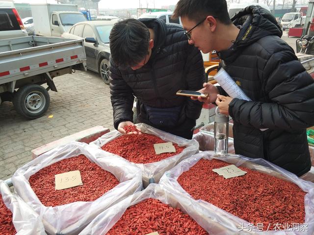 中国最大的红枣交易中心，原来就在这个农村小镇上！价格很便宜！