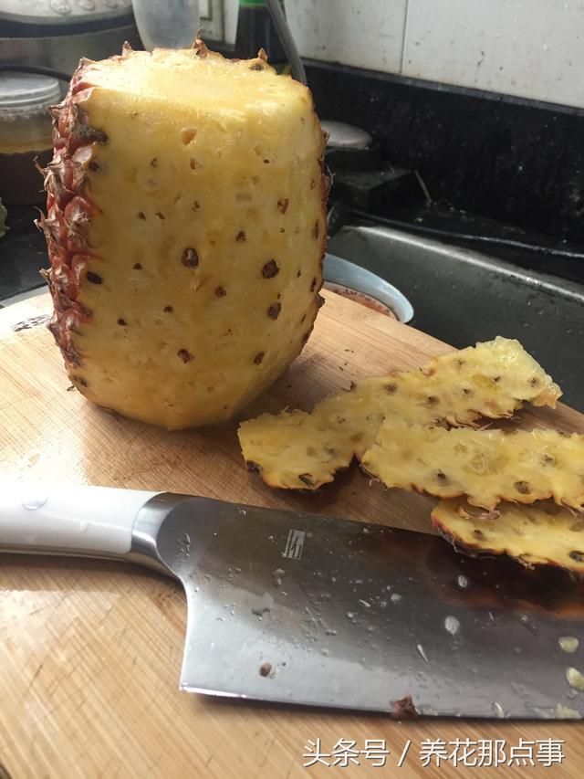 凤梨与菠萝的区别
