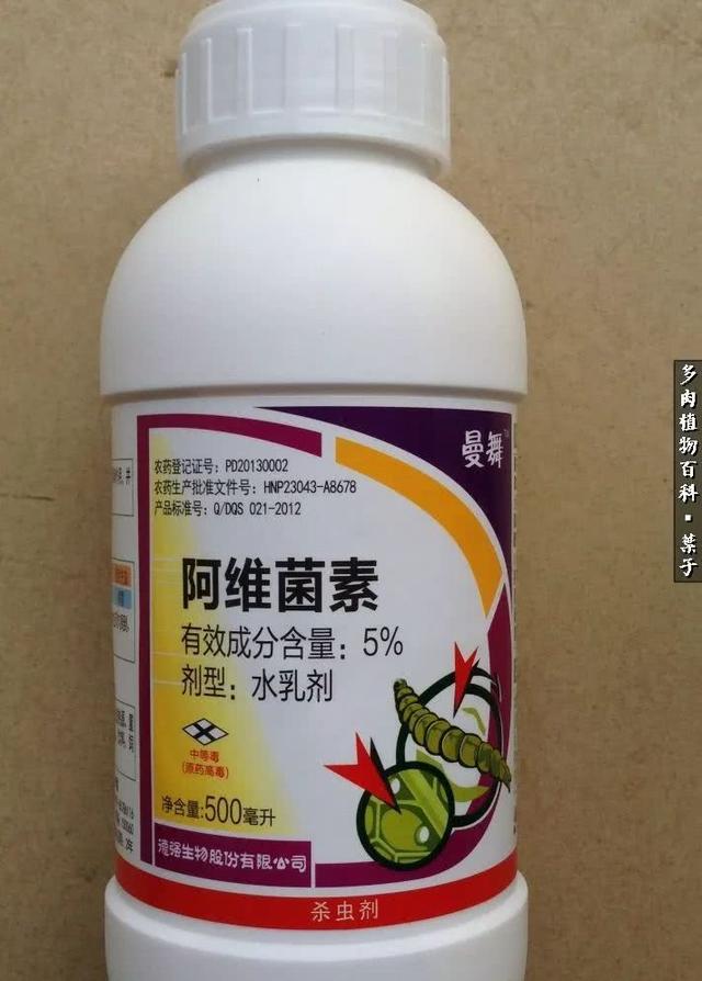 春天万物复苏，你的多肉杀虫杀菌了吗？19