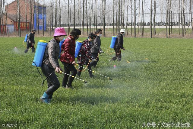 想要农药效果好，这30种农药复配法要学会1