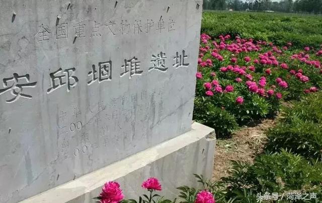 菏泽市定陶农耕文化博物馆展陈工程成交公告