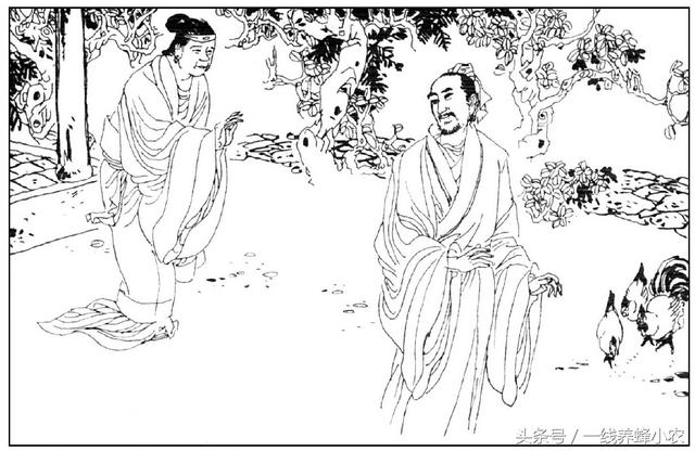 聊斋志异婴宁:聊斋志异图画版之婴宁译文白话文