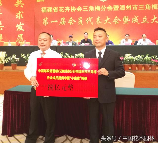 福建省鸿展园林绿化工程案件