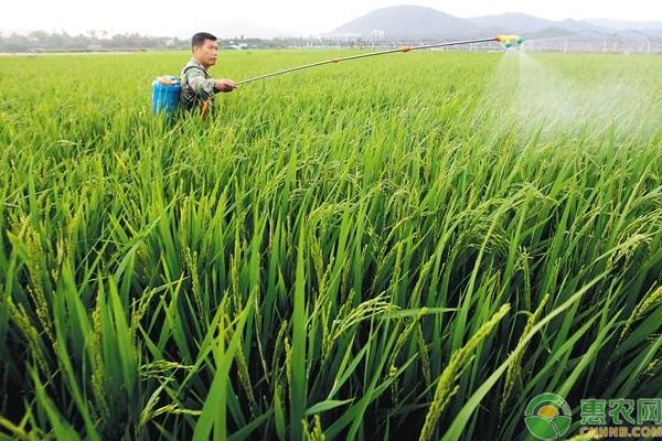 除草剂、杀菌剂、杀虫剂什么价？5月5日农药市场价格行情分析3