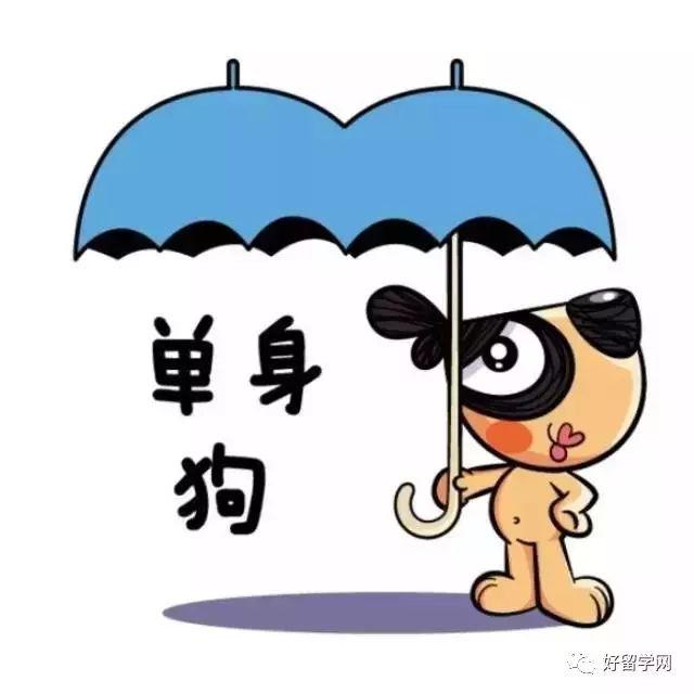 关于伊犁正品螺旋洗砂机销售电话的信息