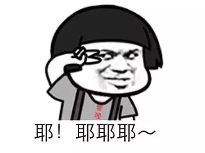 vivo手机hd什么意思