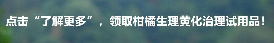 百草枯被禁了，柑橘园除草，烯草酮可以用吗？12