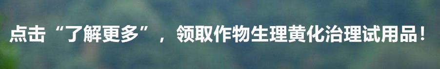 百草枯被禁了，它的替代品有哪些？