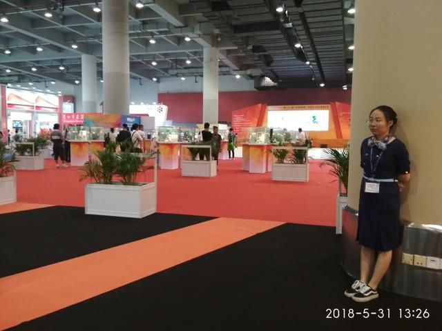 广州琶洲鞋类机械展
