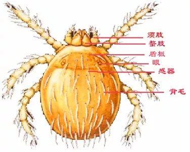 别来无恙是什么意思