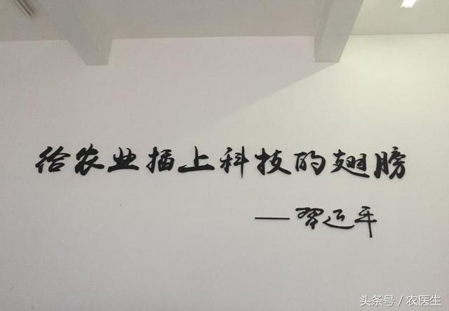 胶州智能压滤机