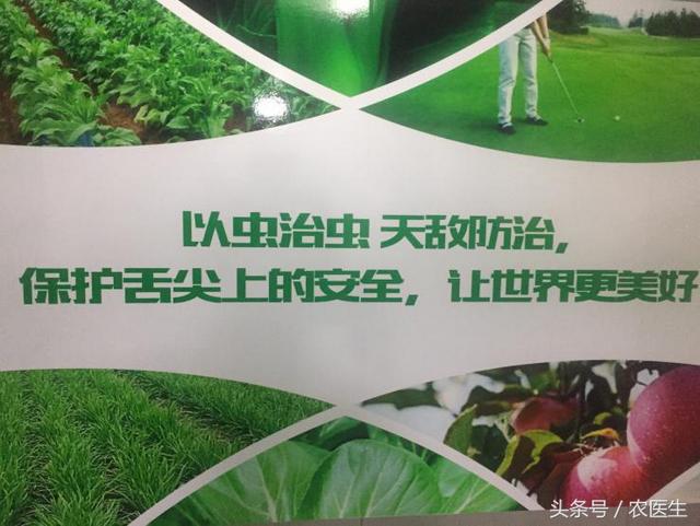 胶州智能压滤机