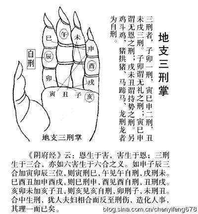 生肖相刑是什么意思