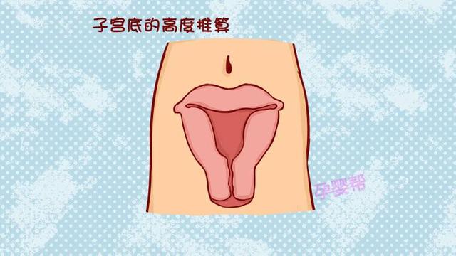 如何计算预产期？八成以上孕妈都不知道的小秘诀