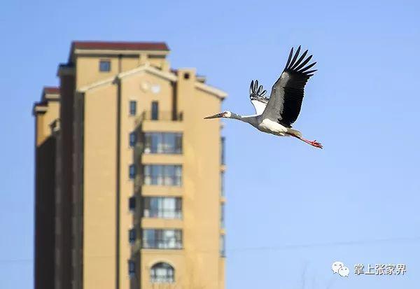 警方通报越野车司机**后砸死对方