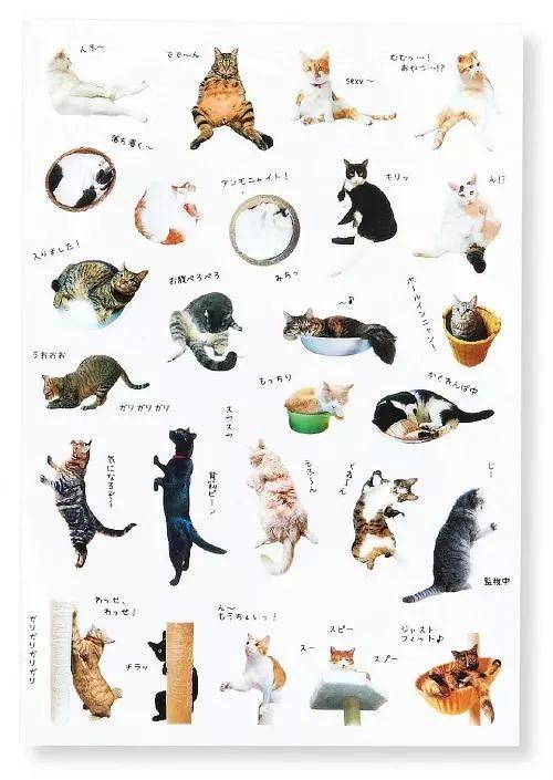 手帐小猫咪(只会叫喵的手帐)