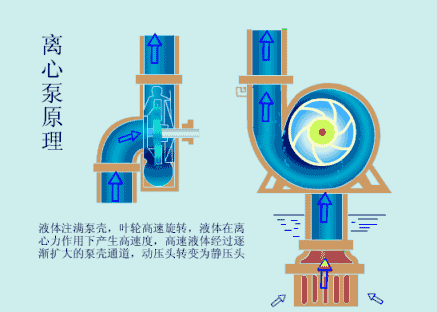 核电用压滤机吗