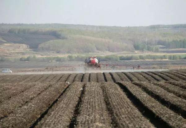 玉米除草剂什么时候打？什么时候玉米地土壤封闭除草最佳？4