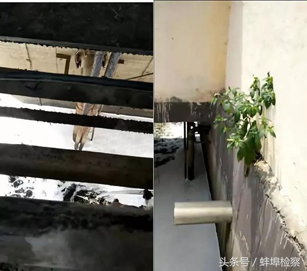 蚌埠压滤机哪里靠谱