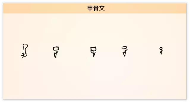 足