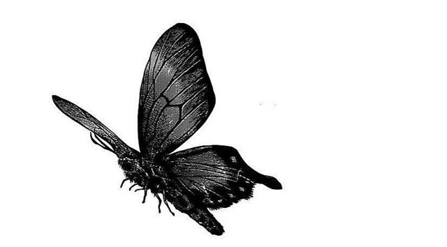 东京喰种雏实大结局(喰种雏实结局)