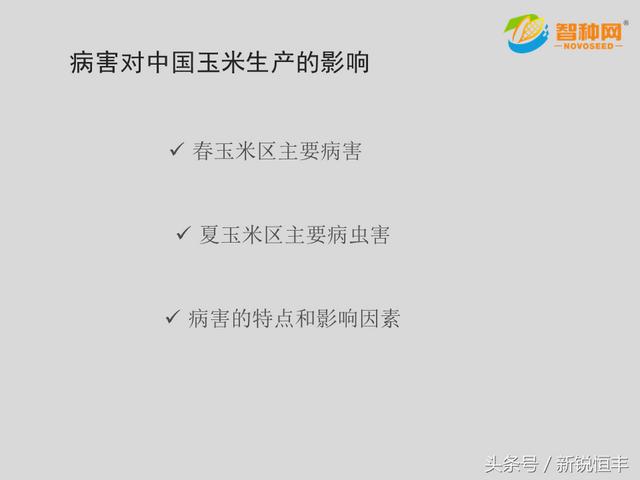 玉米常见病害及特征技术手册（中文版）1