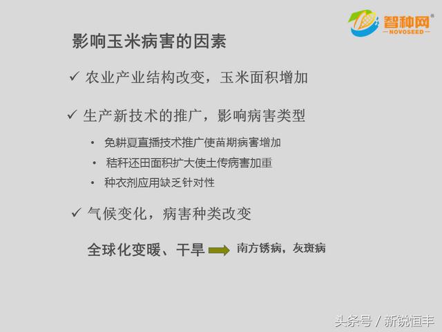 玉米常见病害及特征技术手册（中文版）15