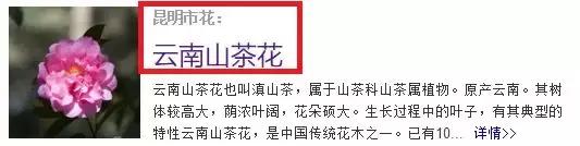 昆明市花 昆明市花（昆明市华山中学官网） 生活