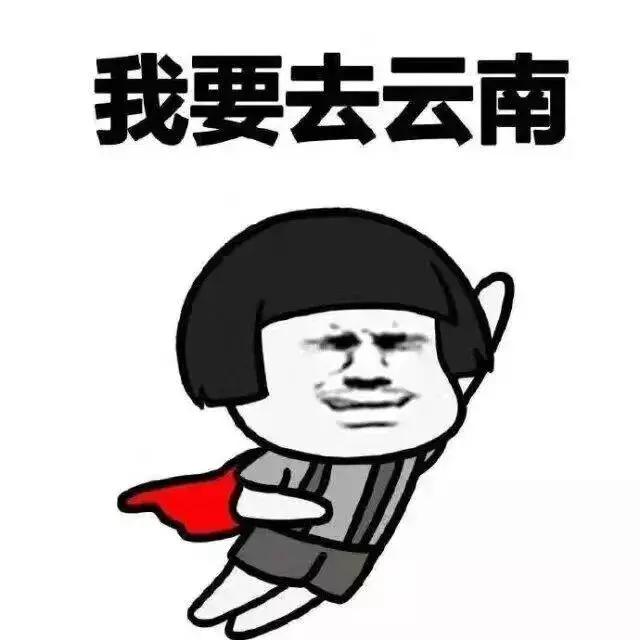 昆明市花 昆明市花（昆明市华山中学官网） 生活