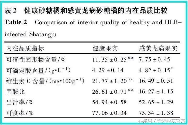 一株柑橘染病，四年毁园！染上黄龙病之后，柑橘树只能砍掉？4