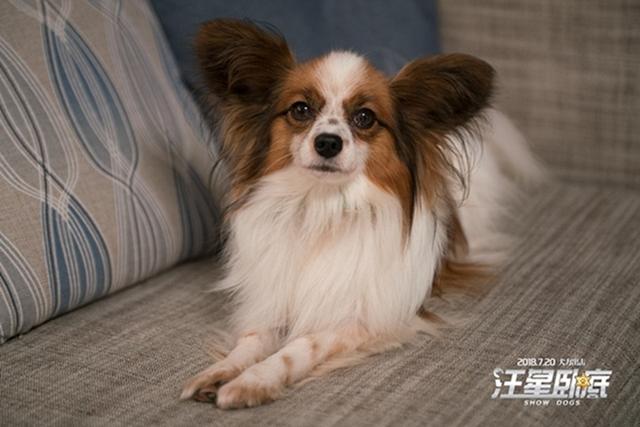 ���˸繷��ӰϷ(�������Եס�Ȯ���������永 �Ե�����Ц����٣�)