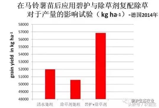 马铃薯怎么除草，安全、高效，无药害、长势好！1