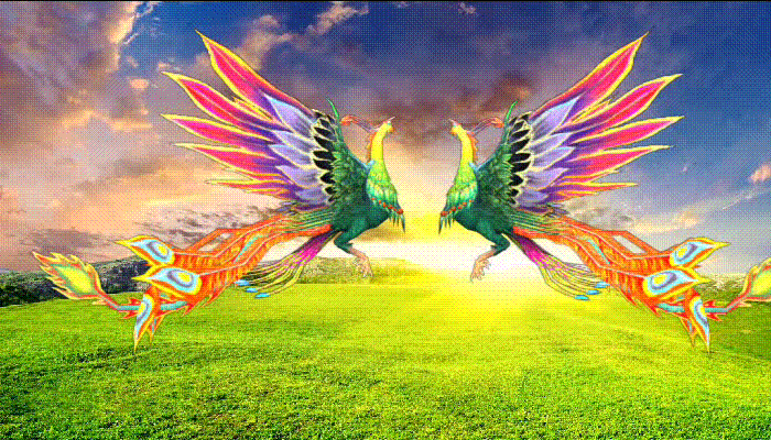 700_400gif 动态图 动图