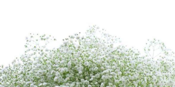 宜春珍珠岩制砂机