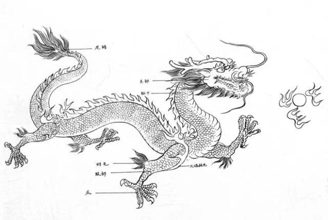 龙画法