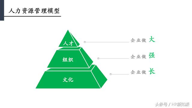 甜菜金融工作怎么样