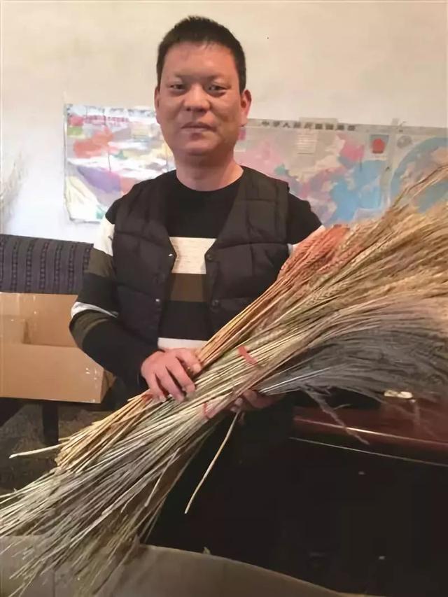 种一亩地能赚多少钱，你算过吗？怎么能将收入最大化，你尝试过吗？9