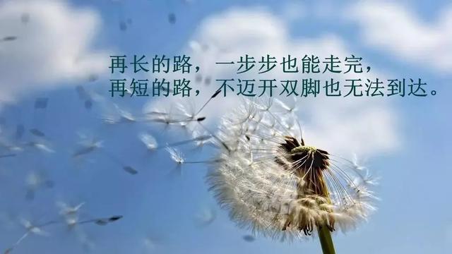 关于爱情的英文诗句