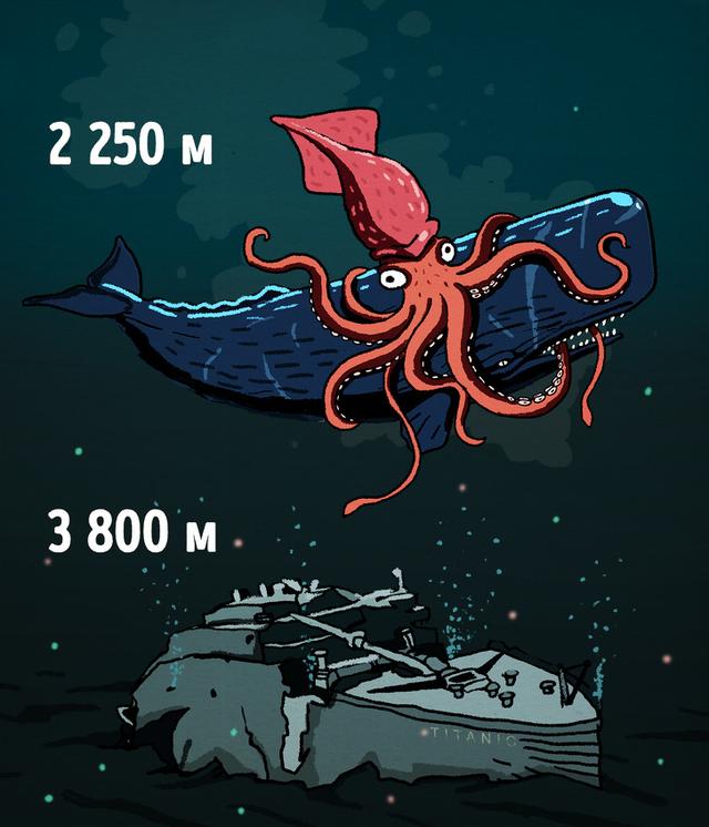 深度解读:海洋有多深,下面到底是什么?