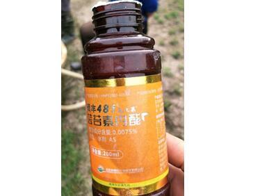 硕丰481在柑橘上如何应用？与其他几种调节剂相比有何优势？2