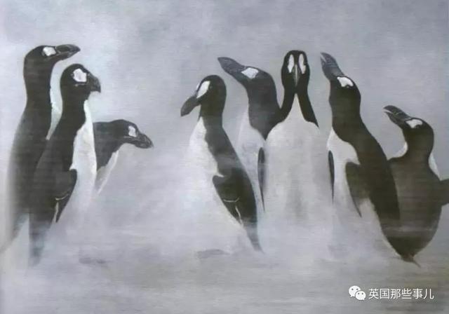 北极熊不吃企鹅