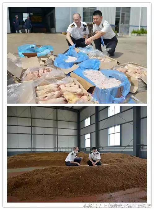 冻肉破碎机厂家