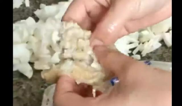 绵阳正压过滤机