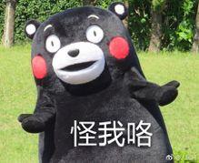 绵阳正压过滤机