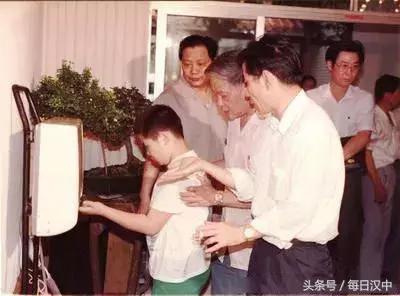 钢丝铝绞线破碎机