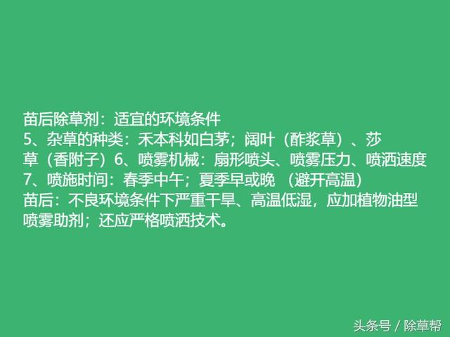 甘蔗田杂草的科学防控17