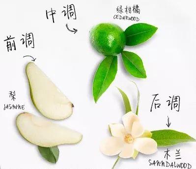 毛周角化病涂什么