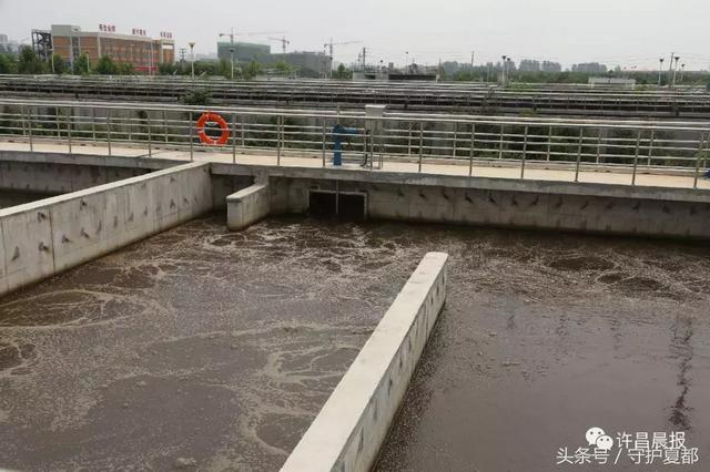 三达过滤机叶轮结构